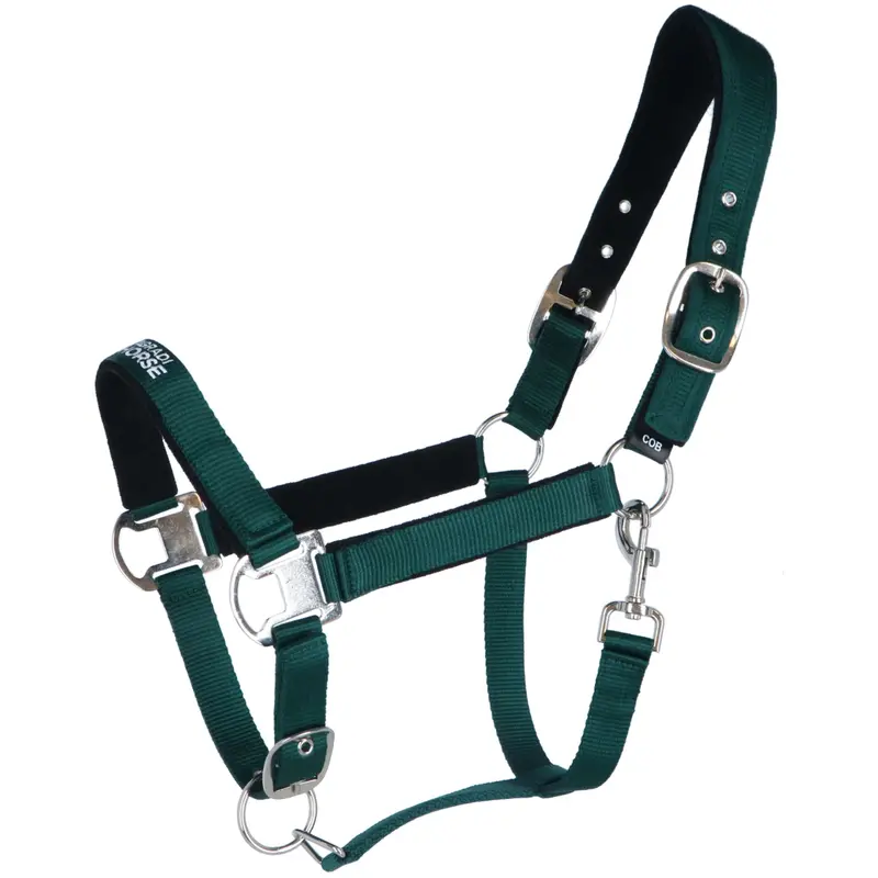 Agradi Athletic Horse Halter – Fir Green 1