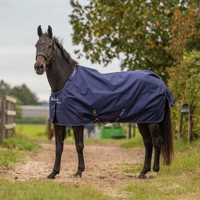 Agradi By Bucas 0G Turnout Rug – Navy/Silver 1