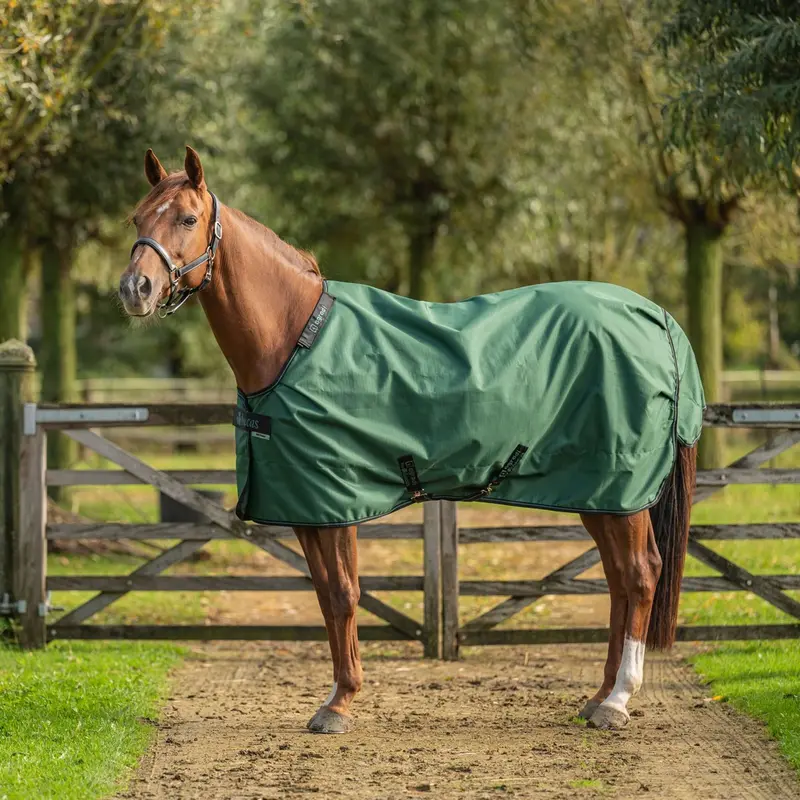 Agradi By Bucas Lightweight Turnout Rug – 0G, Green & Black 1