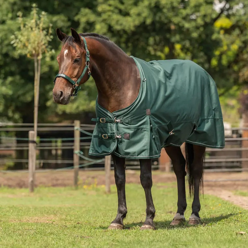Agradi Horse 1200D Reflective Outdoor Blanket – 150G Green 1