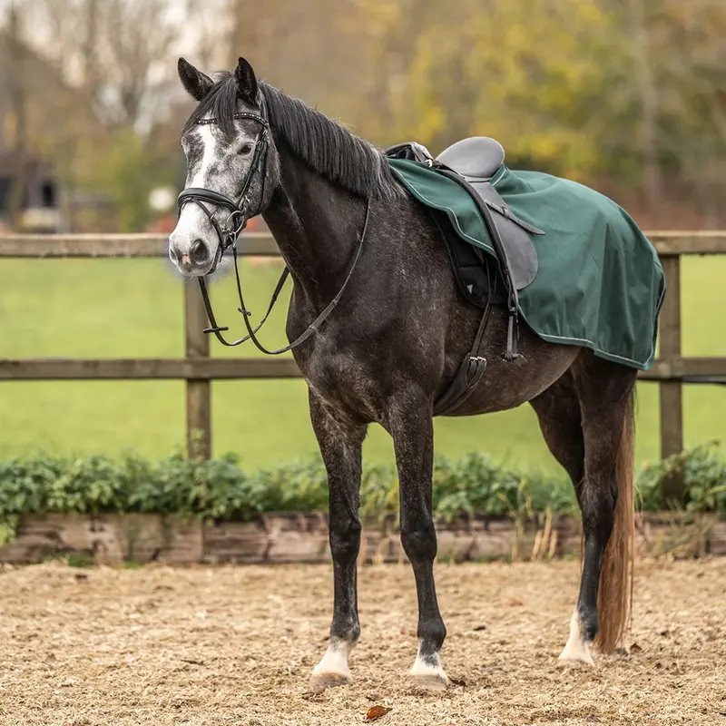 Agradi Horse Reflective 1200D Green Quarter Sheet 1