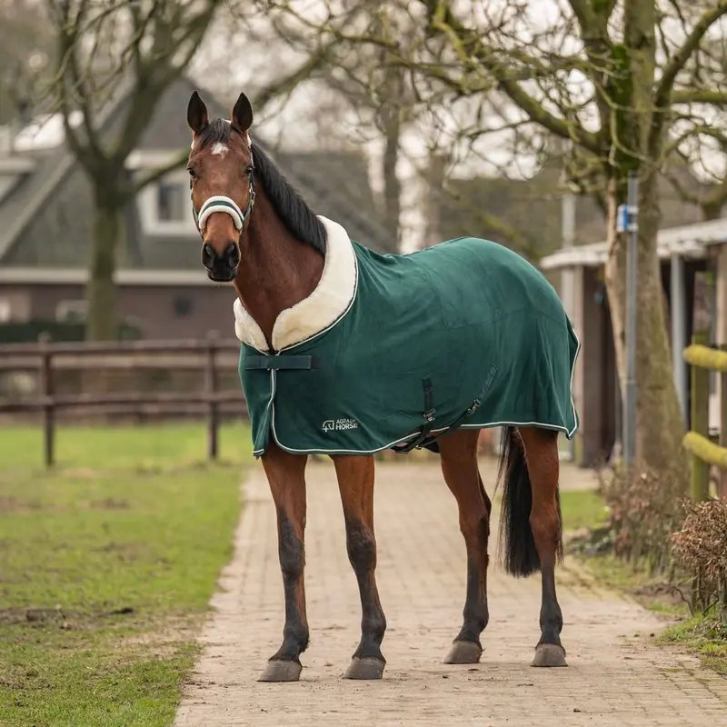 Agradi Modern Rose Fir Green Polar Fleece Horse Blanket 1