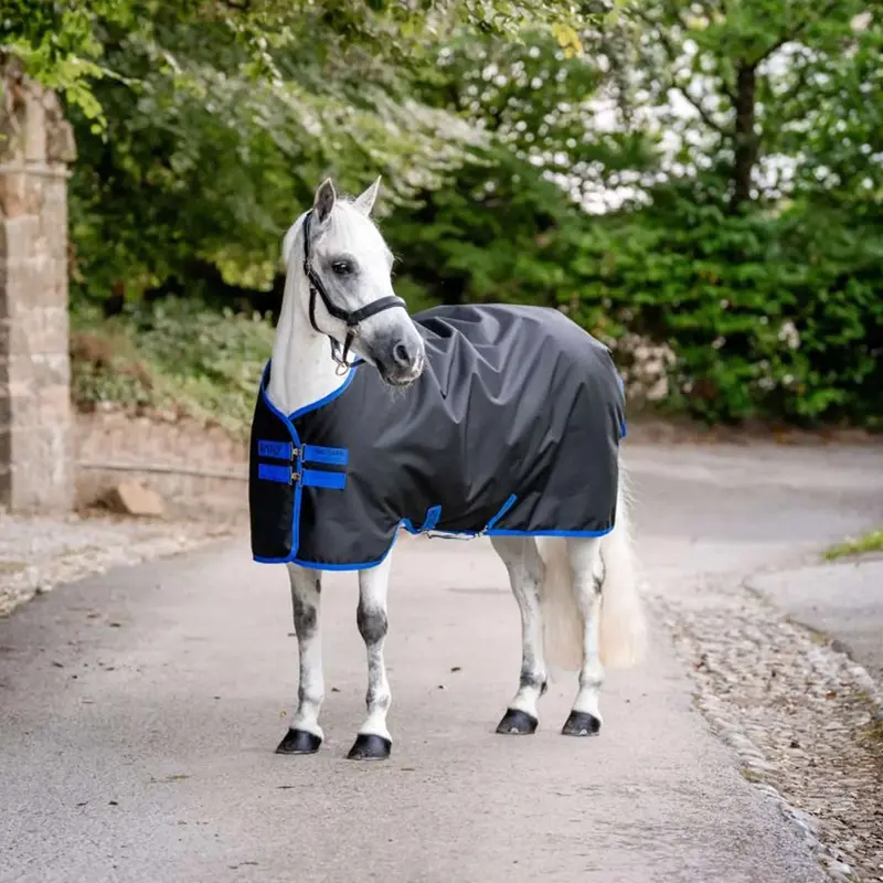 Amigo 900D Pony Ripstop Turnout Rug – Black & Classic Blue (50G) 1