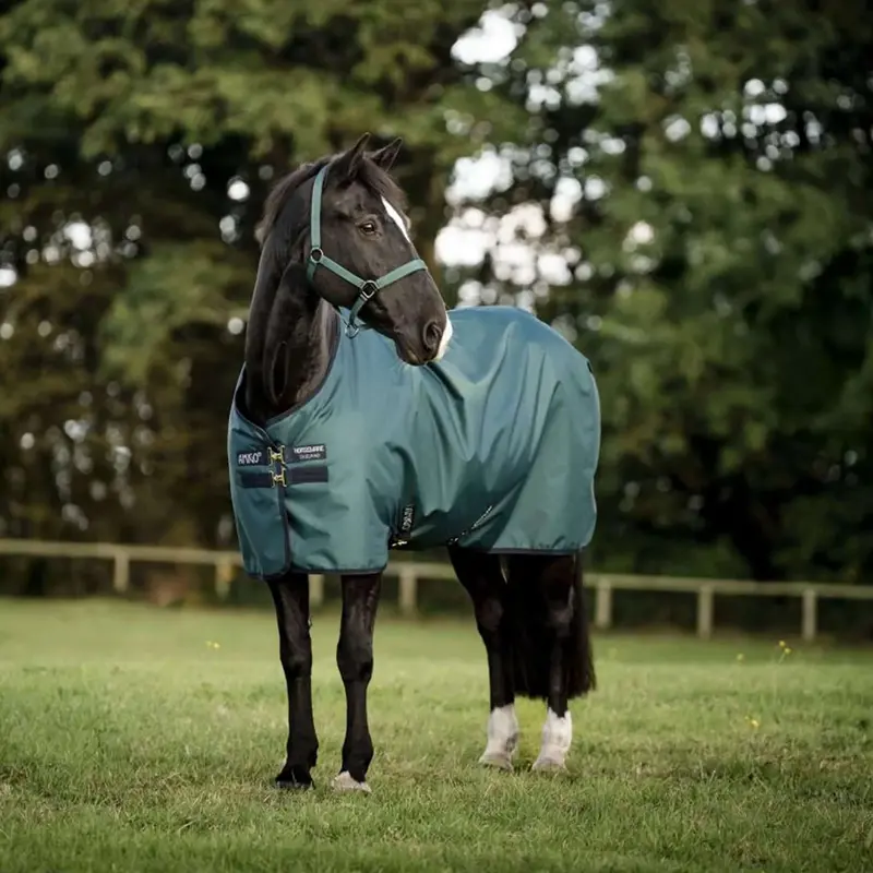Amigo 900D Ripstop Pony Rug – 50G Fill, Dynasty Green/Navy/Silver 1