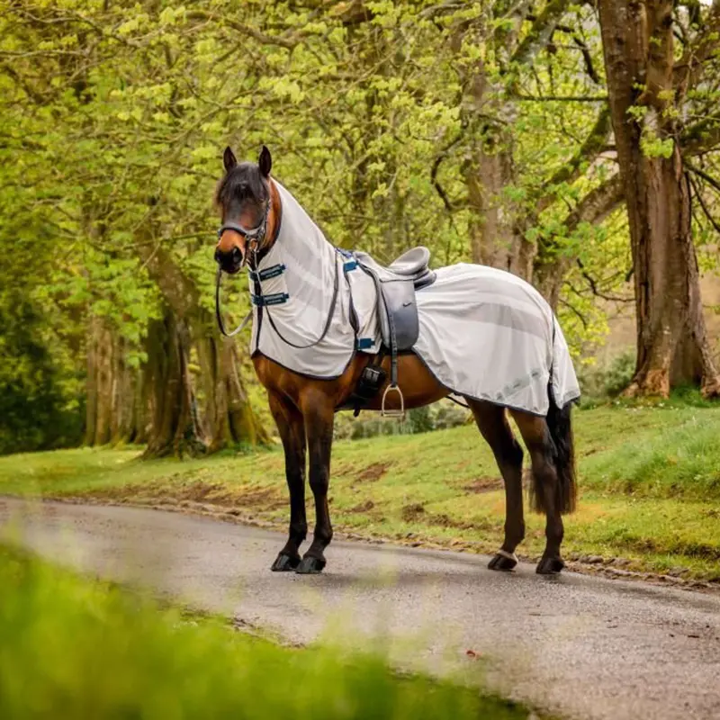 Amigo Fly Sheet For Riding In Chalk/Navy 1