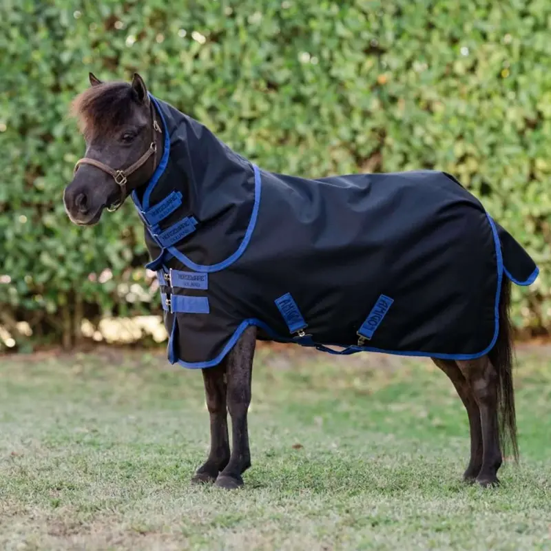 Amigo Ripstop 900D Lightweight Pony Rug – Classic Black/Blue, No Fill 1