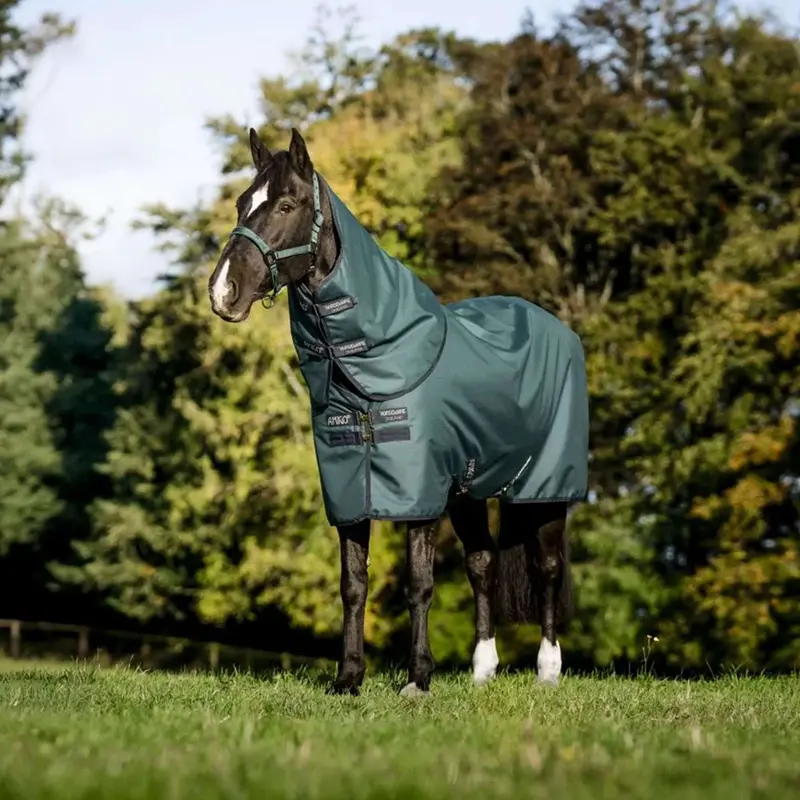 Amigo Ripstop 900D Pony Turnout – Lightweight (0G), Dynasty Green/Navy/Silver 1