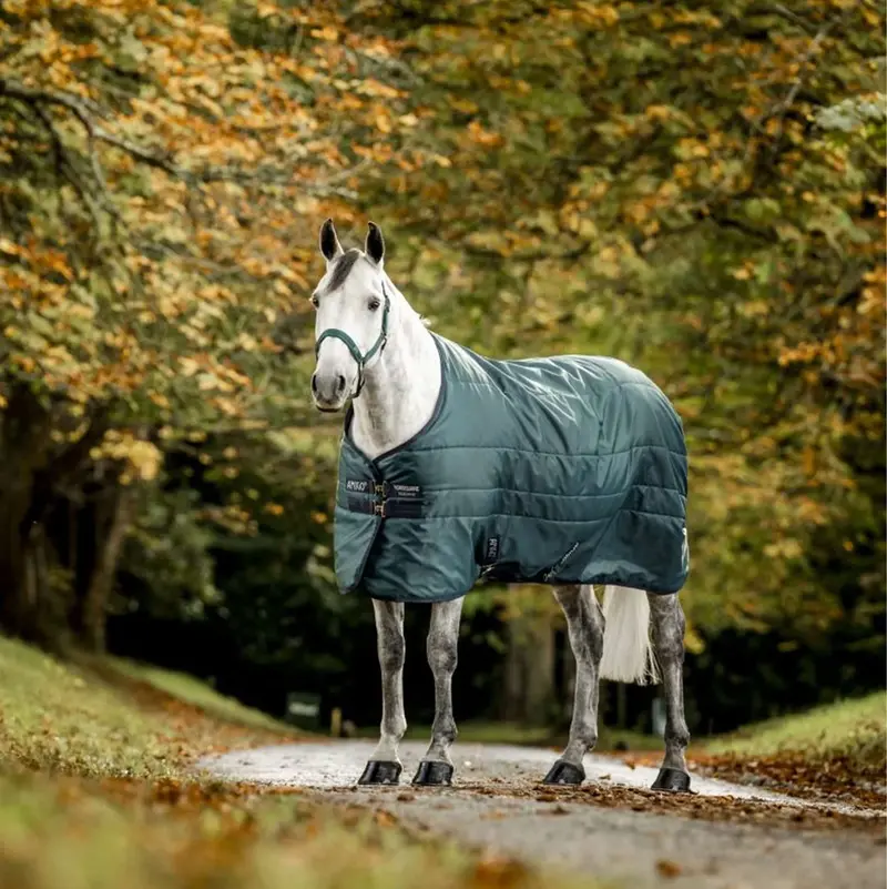 Amigo Ripstop Insulator Stable Blanket – 50G, Dynasty Green/Navy/Silver 1