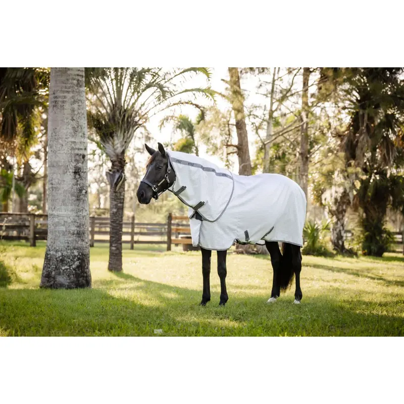 Amigo Summer Sheet Plus – Navy, Titanium Grey & Silver Check 1