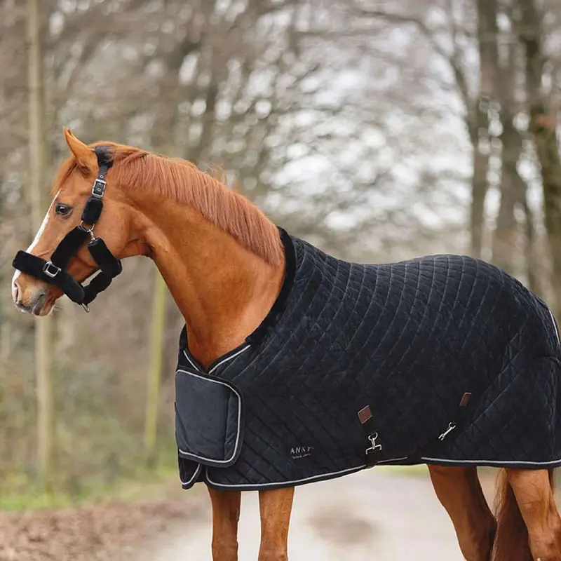 Anky Victory Competition Sheet Atb24006 In Black 1