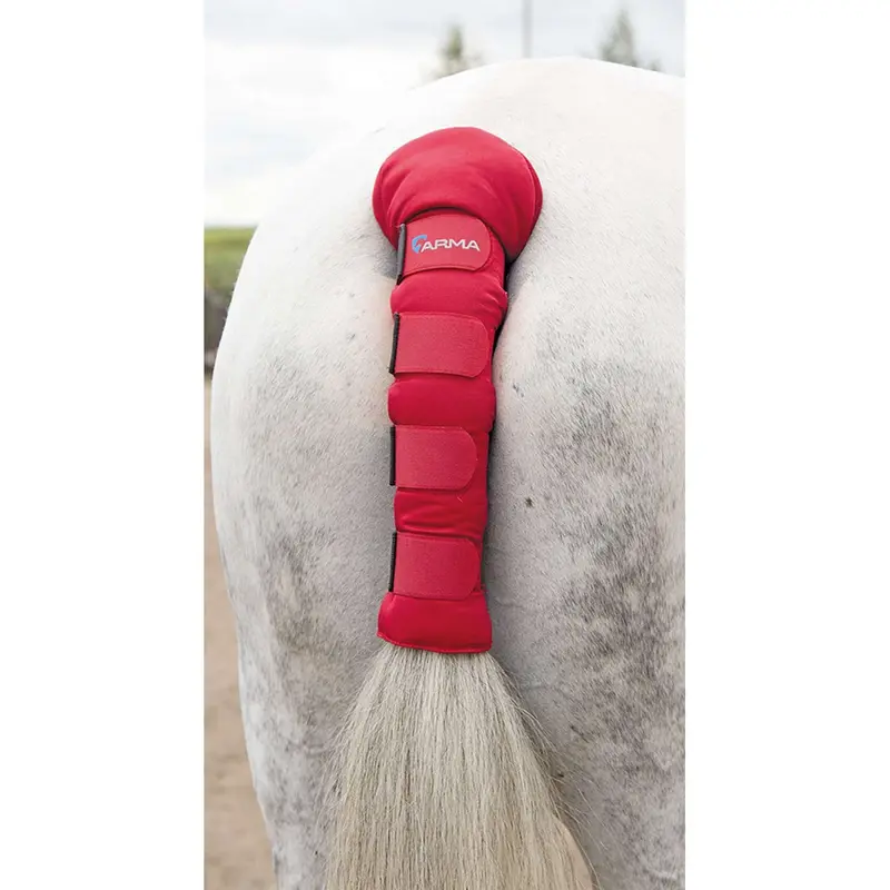 Arma By Shires Red Padded Tail Guard 1