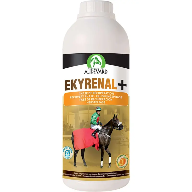 Audevard Ekyrenal+ Kidney & Urinary Support Supplement 1