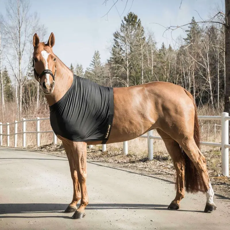 Back On Track Lightweight Shoulder Protection – Black 1