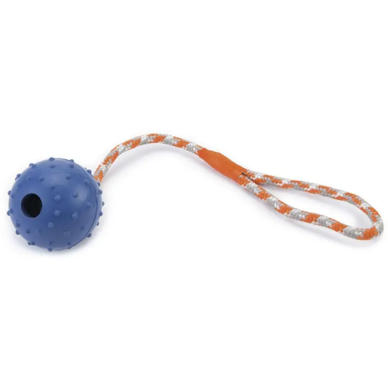 Beeztees Blue Squeaky Ball With Bell And Rope 1