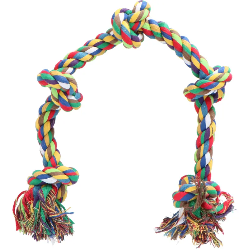 Beeztees Ipts Rainbow Chew Toy With 5 Colorful Buttons 1