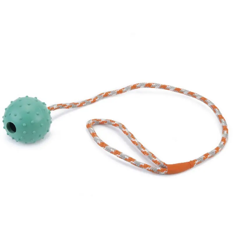 Beeztees Mint Squeaky Ball With Bell And Rope 1