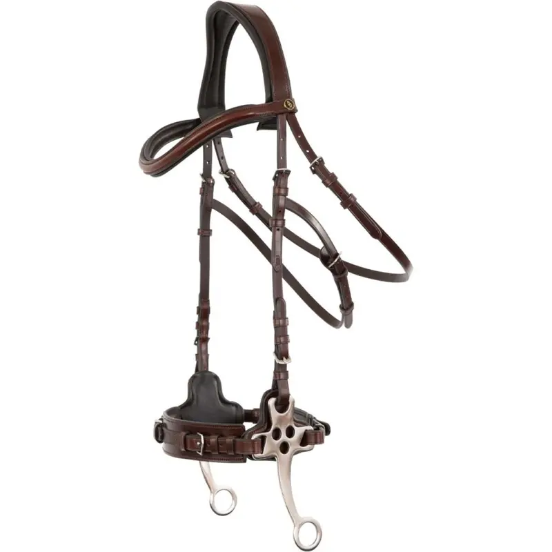 Br Lydney Bridle – Oak Leather With Silver Hardware 1