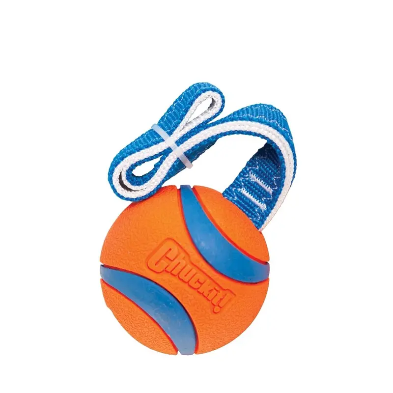 Chuckit Ultra Tug Toy For Interactive Play 1
