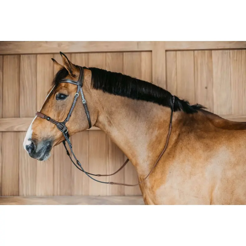Dyon Bitless Dressage Bridle – Brown 1