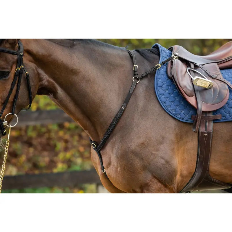 Dyon Black And Copper Hunt Bridle 1
