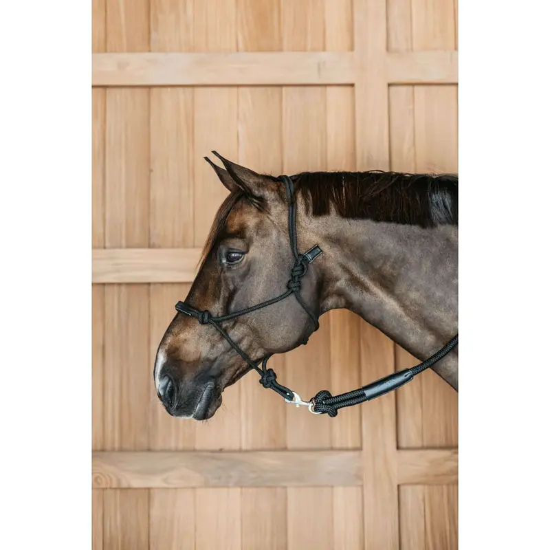 Dyon Black Working Bridle 1