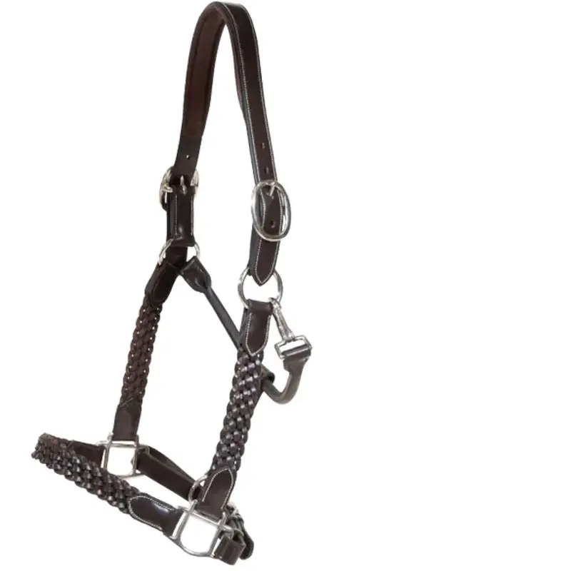 Dyon Braided Leather Halter In Brown 1