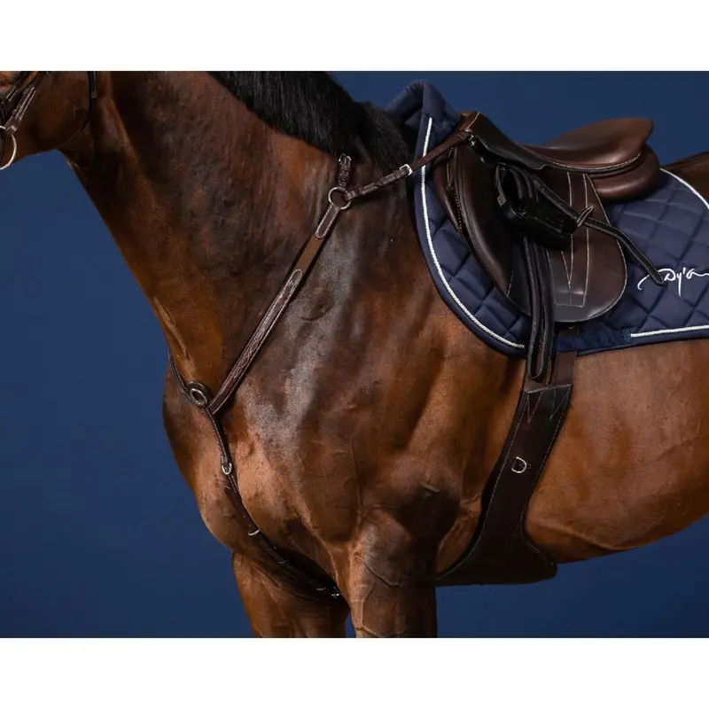 Dyon Bridge-Style Brown Hunting Collar 1