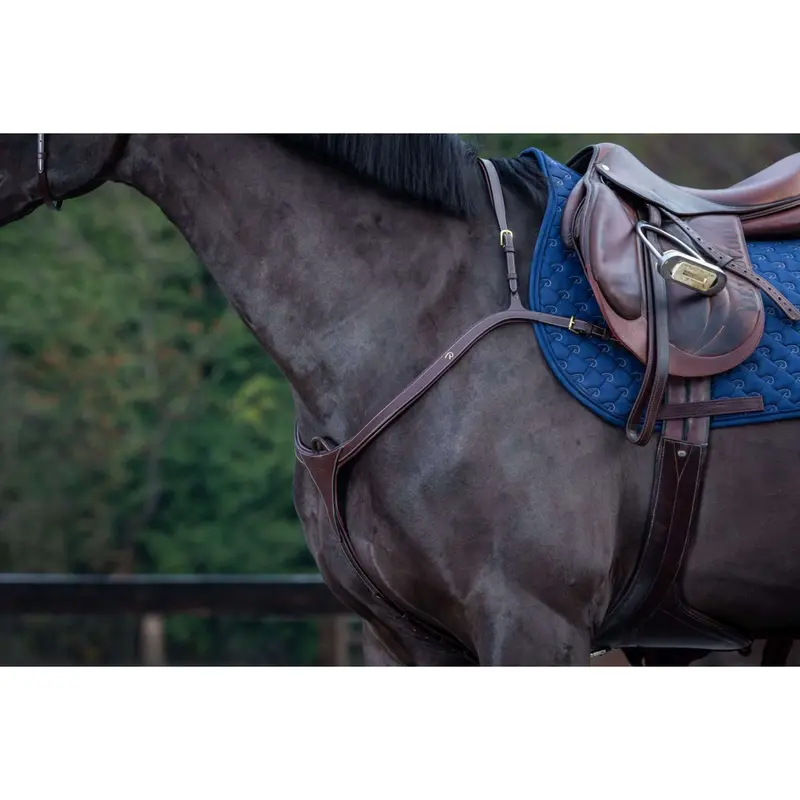 Dyon Brown And Copper Long Hunt Bridle 1