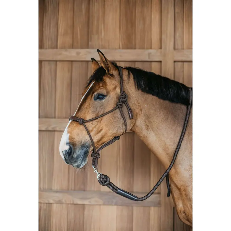 Dyon Brown Working Bridle 1