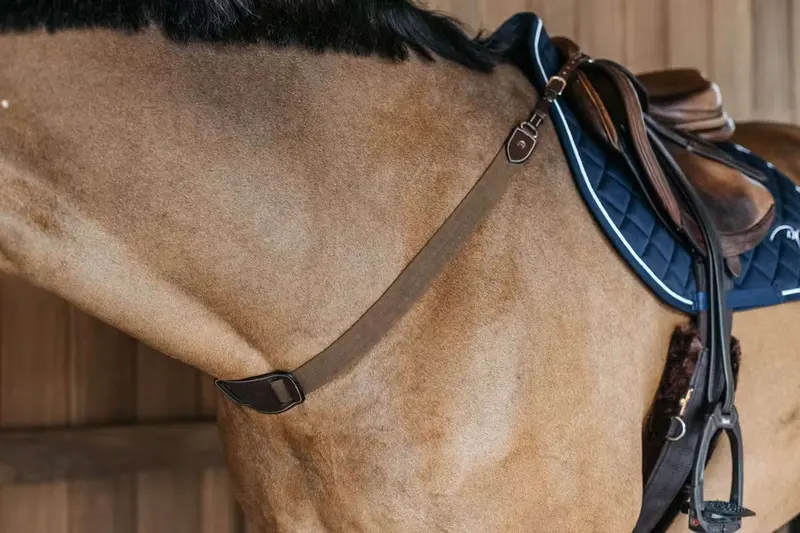 Dyon Elastic Hunt Collar In Brown 1
