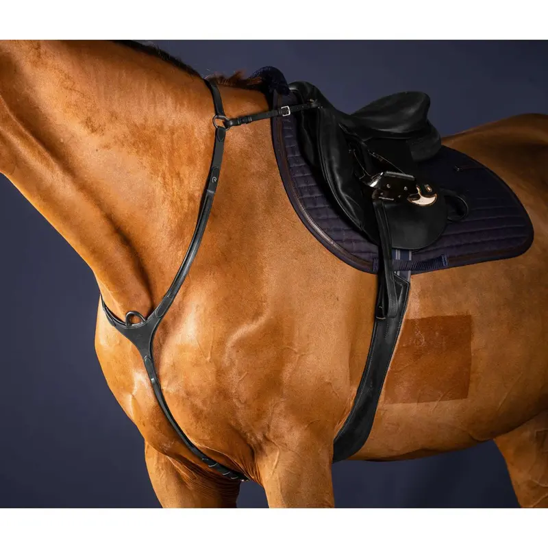 Dyon English-Style Hunt Collar – Black 1