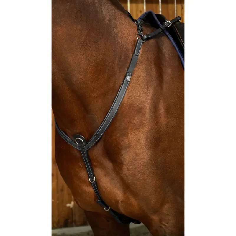 Dyon Working Bridle Hunter Collar – Black 1