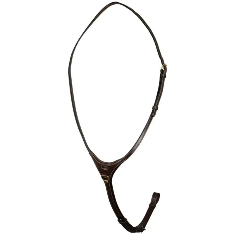 Dyon Yoke Martingale – Brown 1