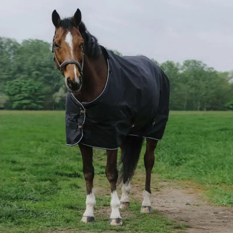 Equithème Black Tyrex 600D Outdoor Horse Blanket – 150G Standard Fit 1