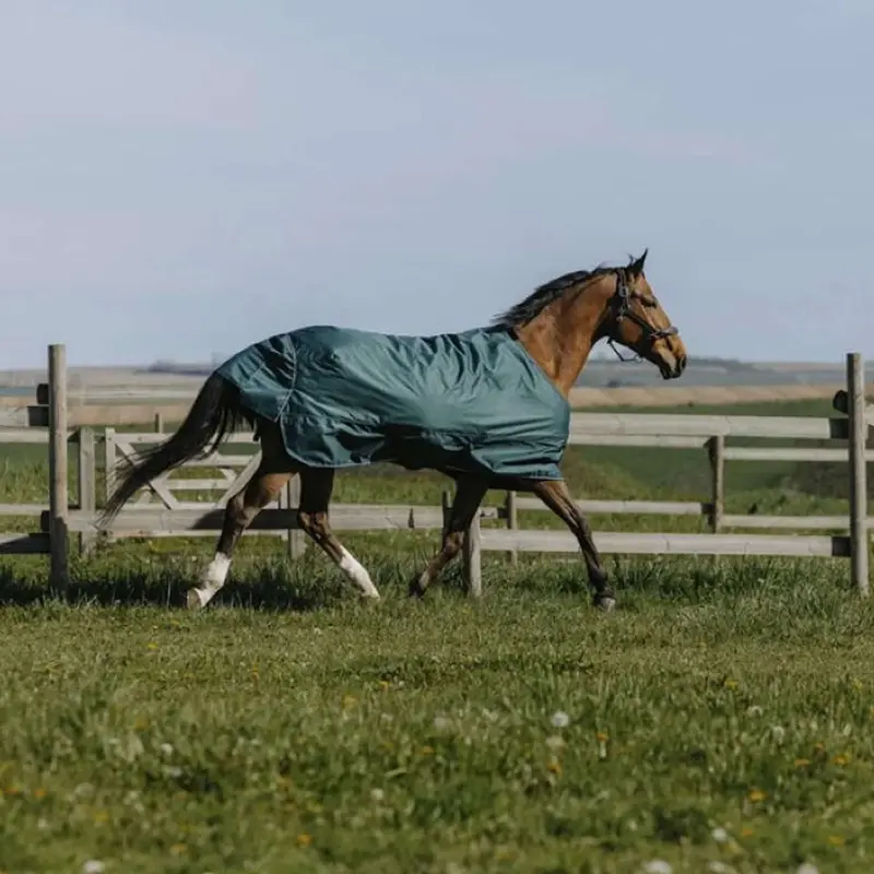 Equithème Green Tyrex 600D Outdoor Horse Blanket – 150G Standard Fit 1
