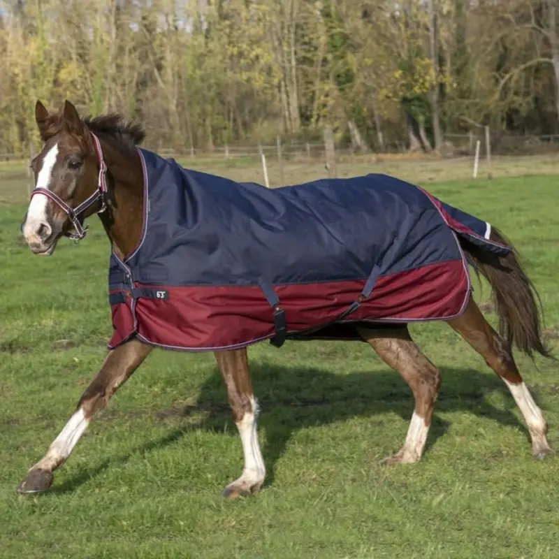 Equithème Tyrex 1200D Half-Cover Turnout Blanket – Navy & Bordeaux 1