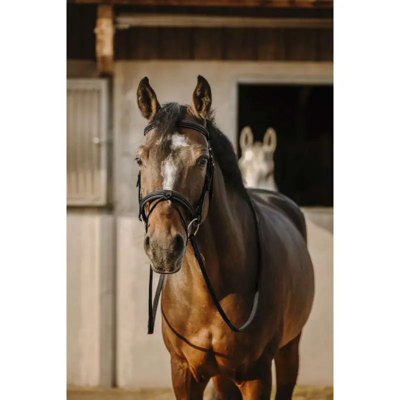 Eric Thomas Black Work Bridle 1