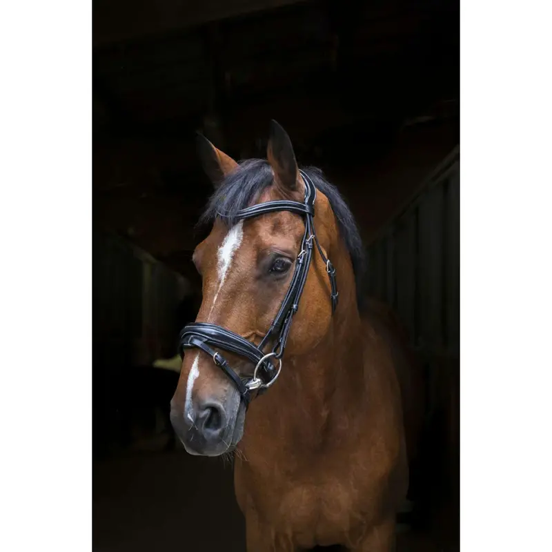 Eric Thomas Designer Bridle – Professional Black 1