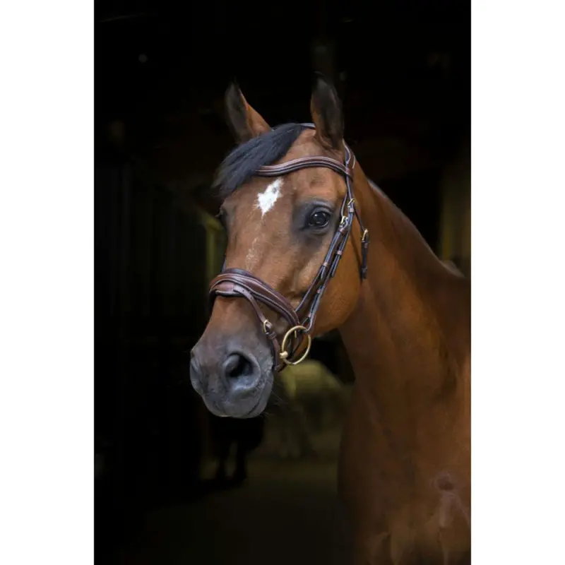 Eric Thomas Designer Bridle – Professional Havana 1