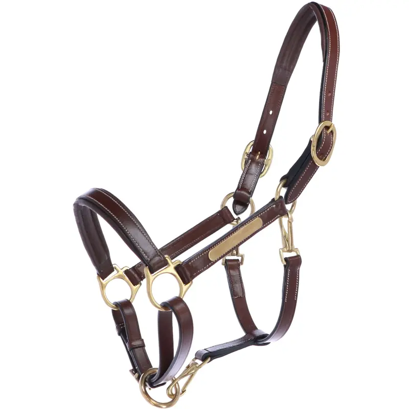 Eric Thomas Grooming Bridle – Full Leather, Havana 1