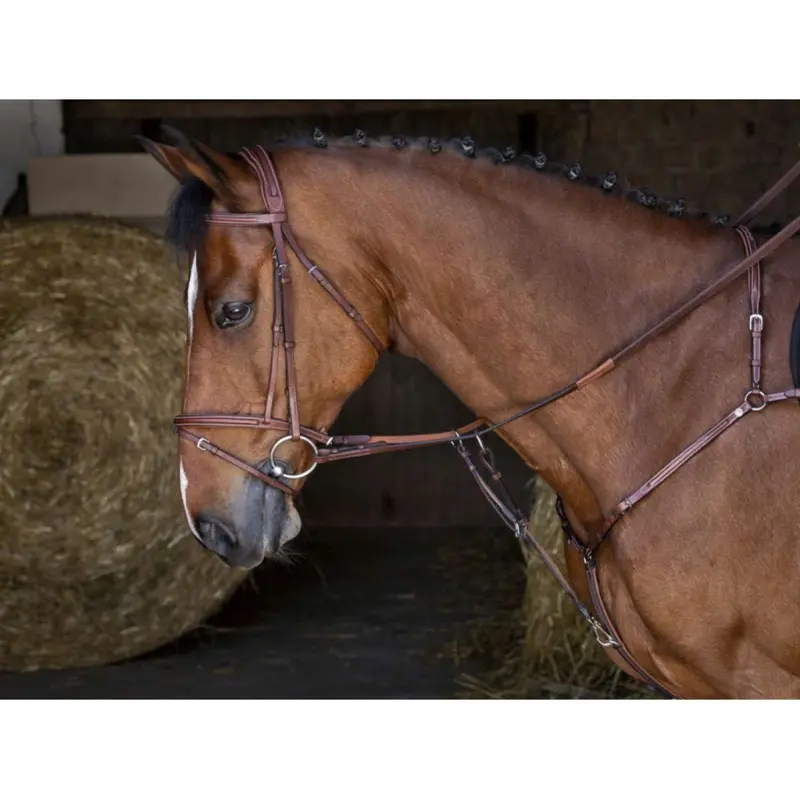 Eric Thomas Hybrid Hunting Collar – Havana 1