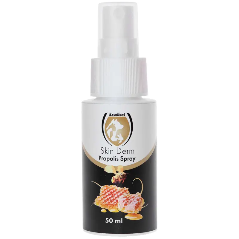 Excellent Propolis & Honey Skin Derm Spray 1