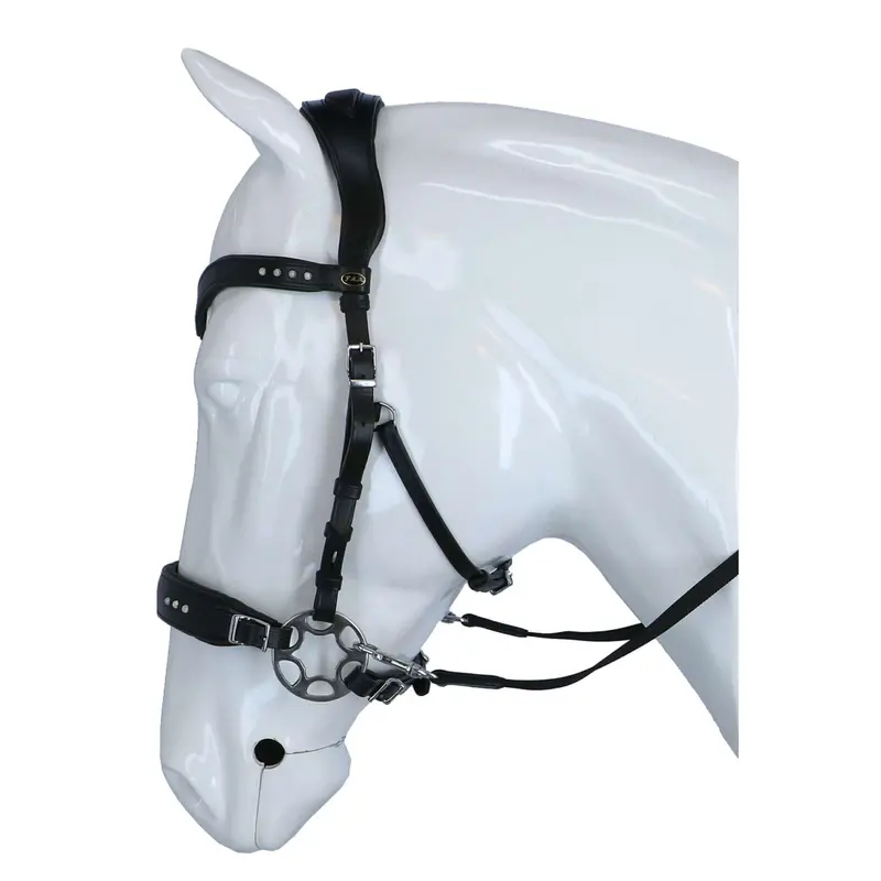 F.R.A. Glory Hackamore Bridle – Black Leather With Pearl Accents 1
