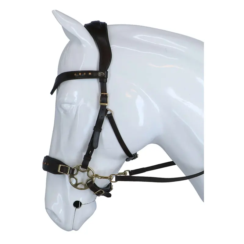 F.R.A. Glory Hackamore Bridle – Brown Leather With Pearl Accents 1