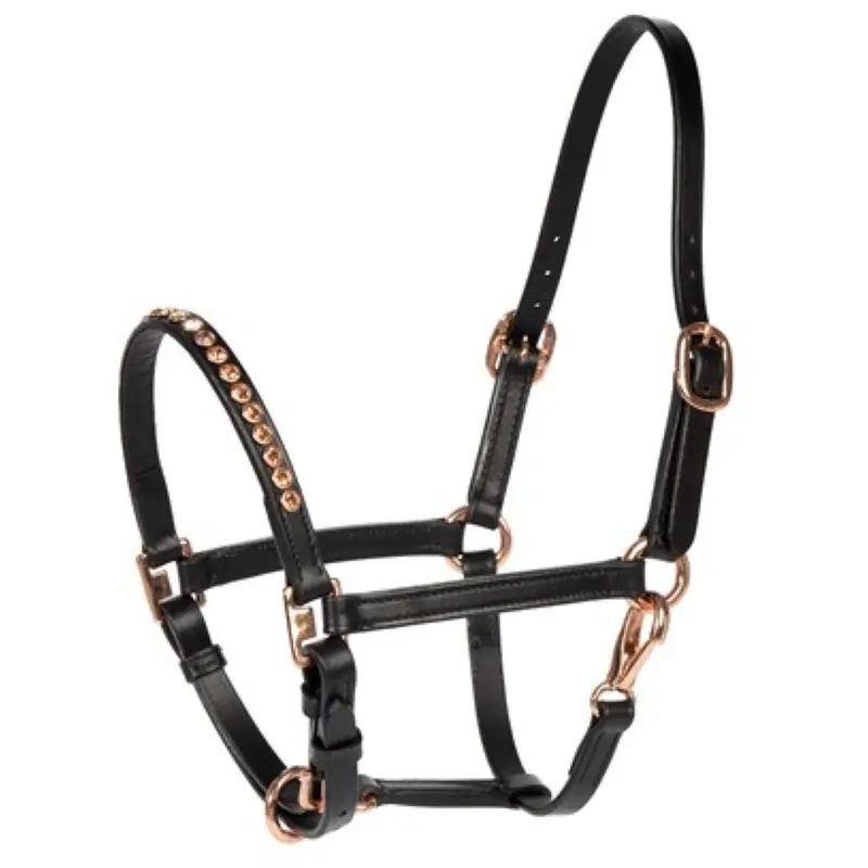 Harry'S Horse Crystal Pony Halter In Black And Rose Gold 1
