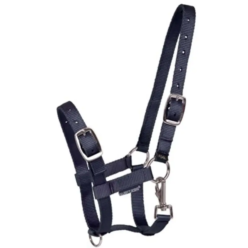 Harry'S Horse Navy Foal Halter For Young Horses 1