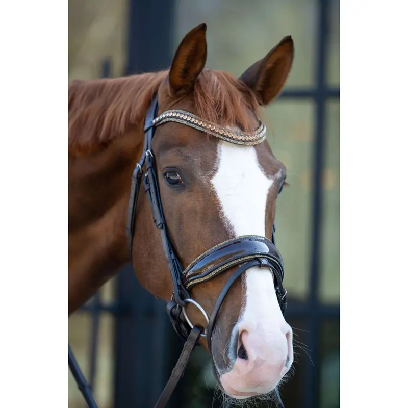 Hb Bride Showtime 'It Is So Special' Brown/Gold Glitter Bridle 1