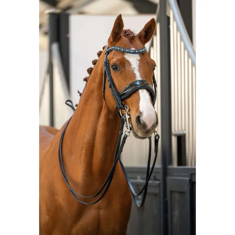 Hb Bride Showtime 'One In A Million' Black/Navy Sparkle Bridle 1
