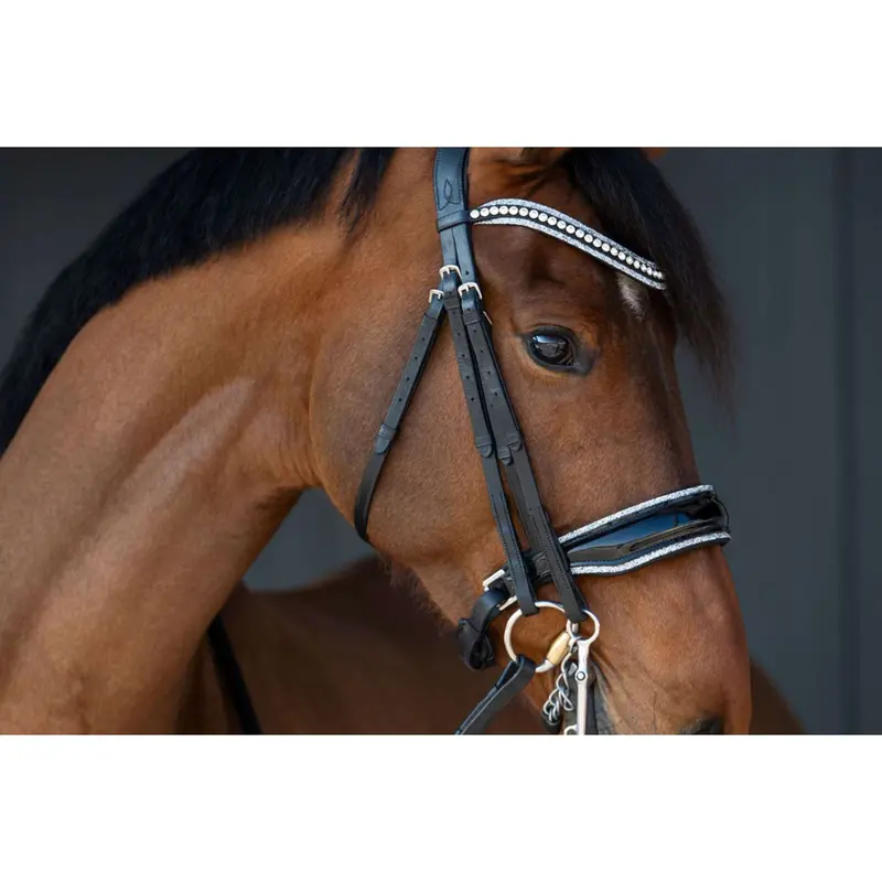 Hb Bride Showtime 'One In A Million' Black/Silver Glitter Bridle 1