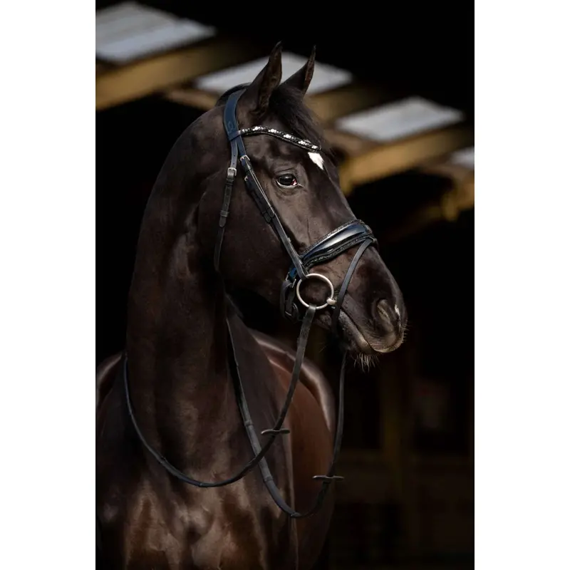 Hb Dark Eagle Bitless Bridle In Black 1